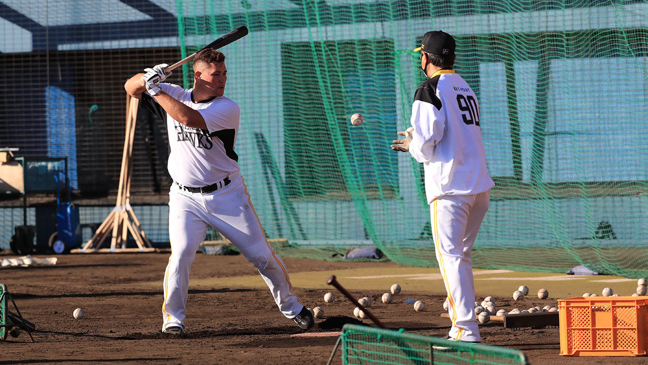 福岡ソフトバンクホークス見るなら スポーツライブ プラス スポーツライブ プラス 福岡ソフトバンクホークス見るなら スポーツライブ プラス スポーツライブ プラス