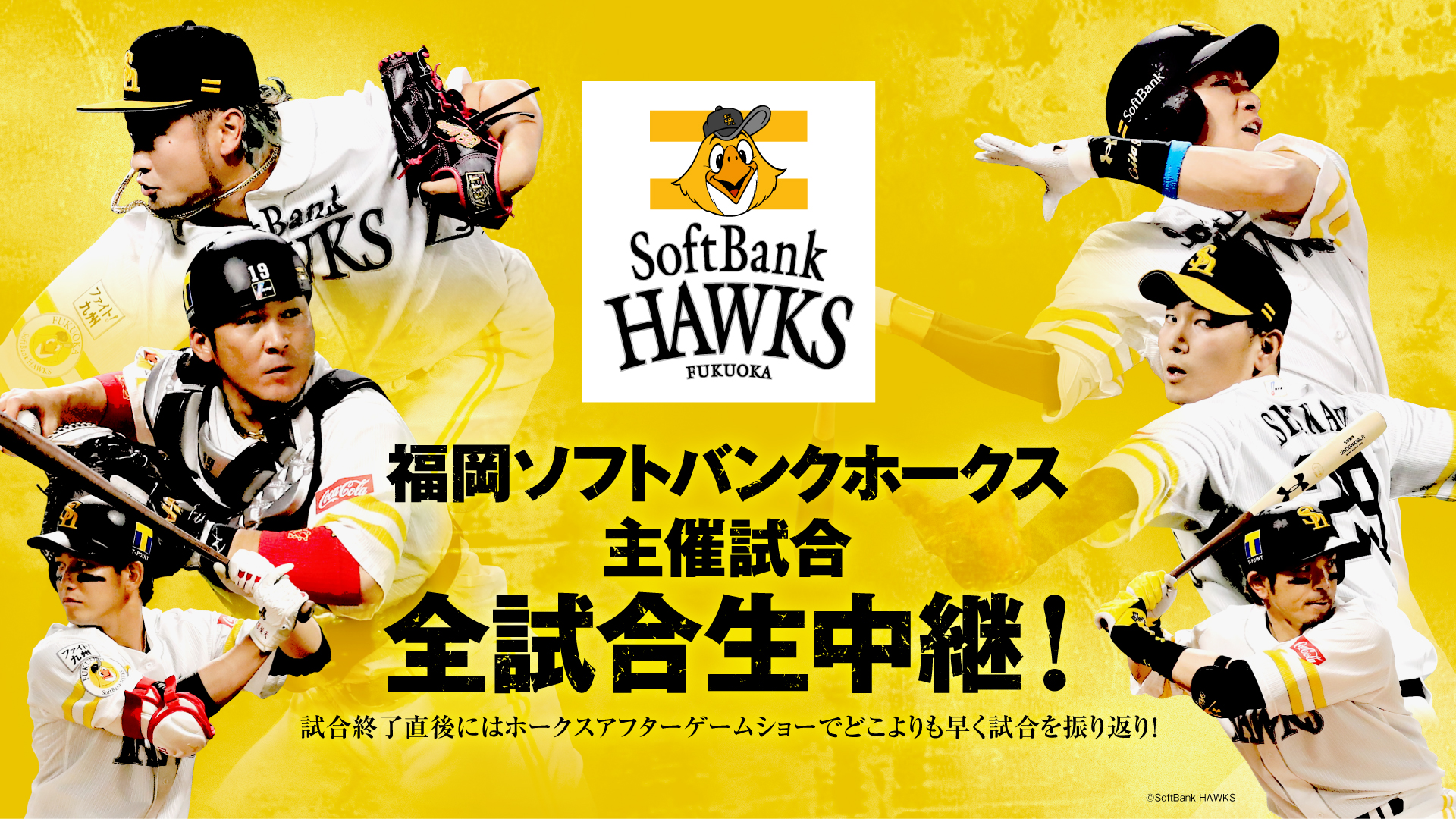 スポーツライブ プラス