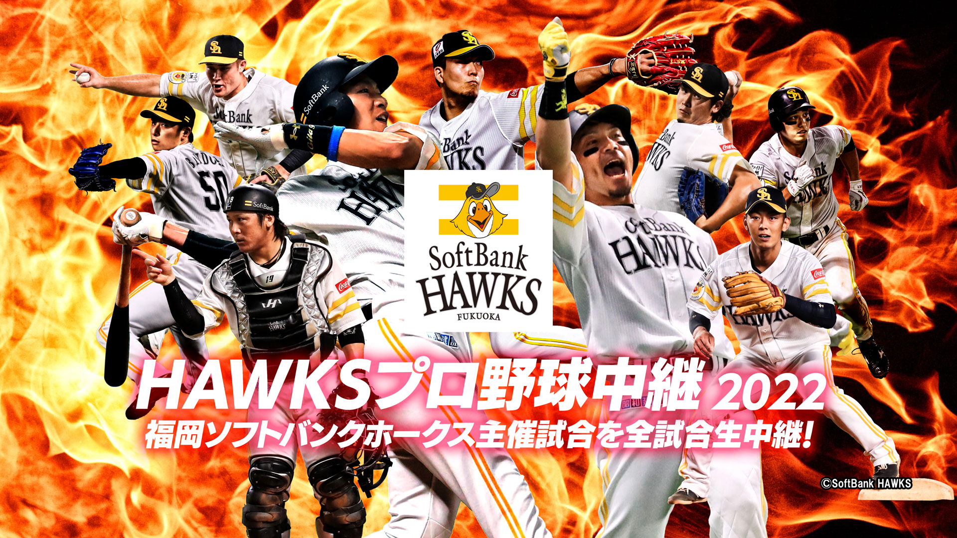 スポーツライブ プラス スポーツライブ プラス